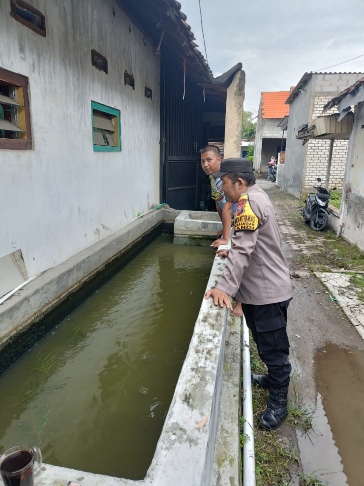 Bhabinkamtibmas Jambangan Candi Cek Budidaya Lele di Pekarangan Rumah Warga