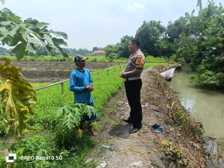Polsek Sukodono Tinjau Pekarangan Pangan Bergizi (P2B) di Desa Jumputrejo