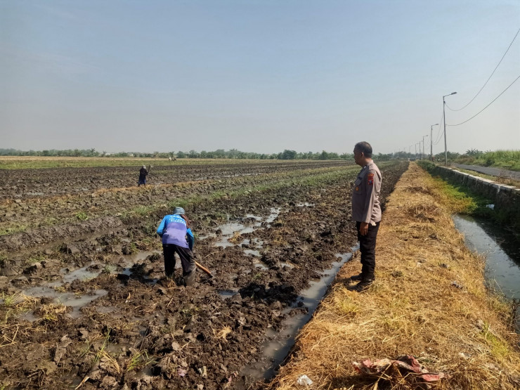 Bhabinkamtibmas Kedungrejo Dukung Ketahanan Pangan Lewat Ternak Burung Puyuh