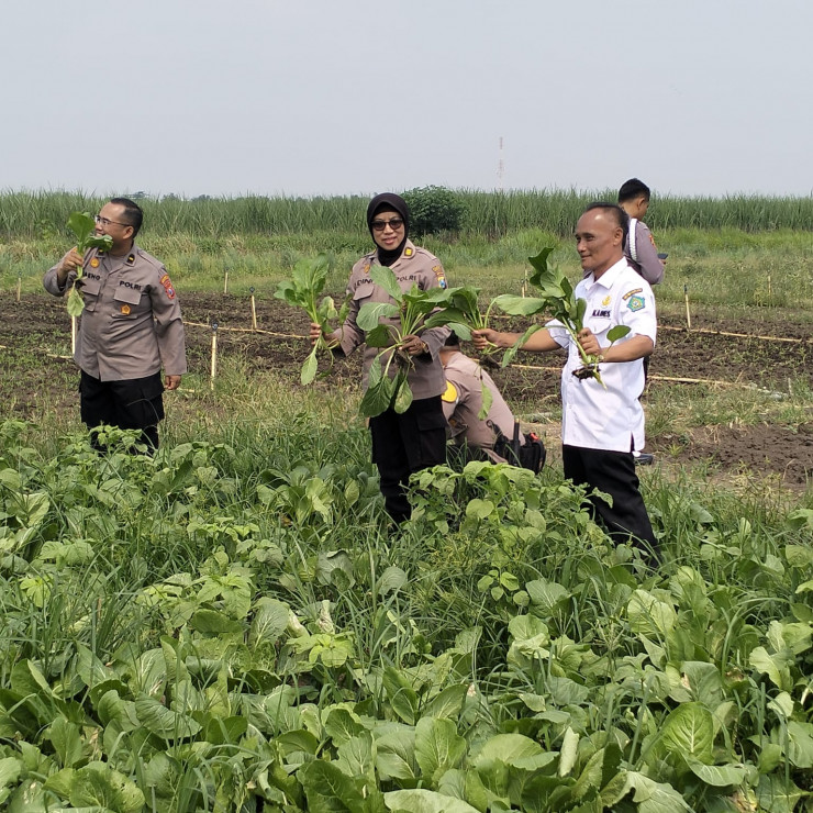 Satgas Ketahanan Pangan Polresta Sidoarjo Cek Lahan P2B Desa Lemujut Krembung