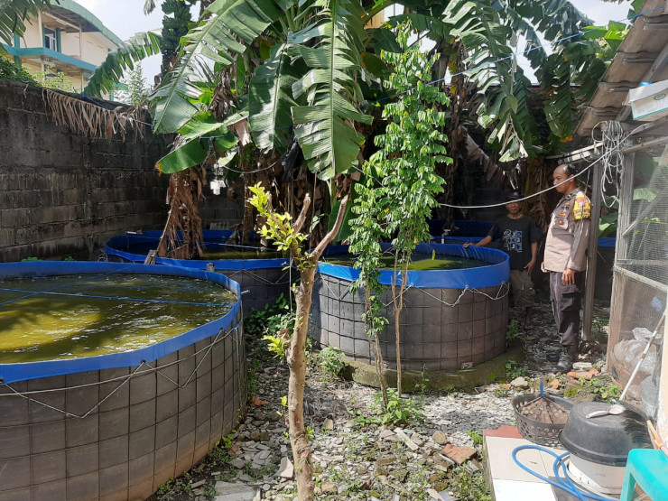 Bhabinkamtibmas Desa Wadungasri Cek Budidaya Ikan Lele