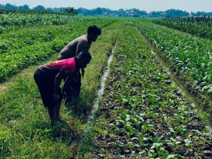 Polisi Tinjau Lahan Pertanian, Dukung Program Ketahanan Pangan Asta Cita Presiden Prabowo